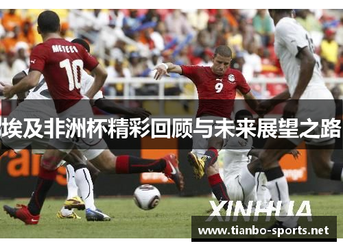 埃及非洲杯精彩回顾与未来展望之路